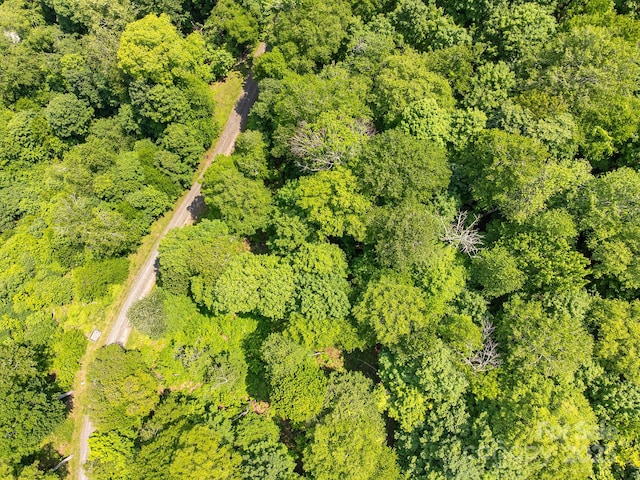 17 Mountain Gait Dr Unit 17, Mars Hill, NC 28754 - photo 28