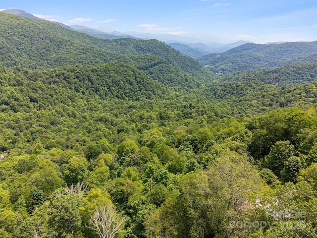 17 Mountain Gait Dr Unit 17, Mars Hill, NC 28754 - photo 30