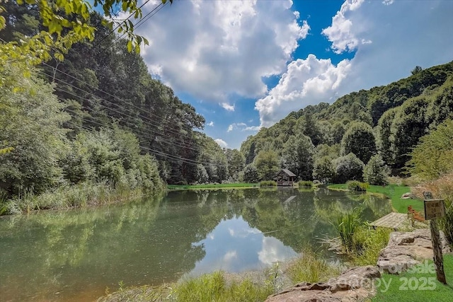 17 Mountain Gait Dr Unit 17, Mars Hill, NC 28754 - photo 40
