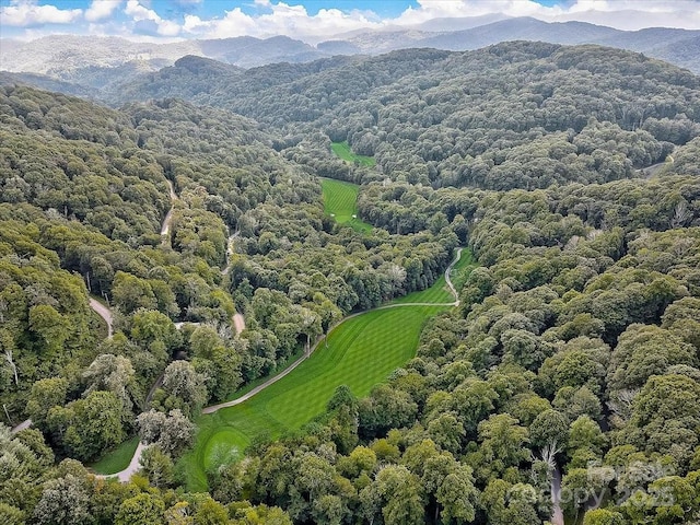 17 Mountain Gait Dr Unit 17, Mars Hill, NC 28754 - photo 45