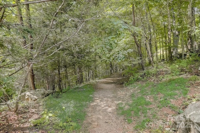 17 Mountain Gait Dr Unit 17, Mars Hill, NC 28754 - photo 47