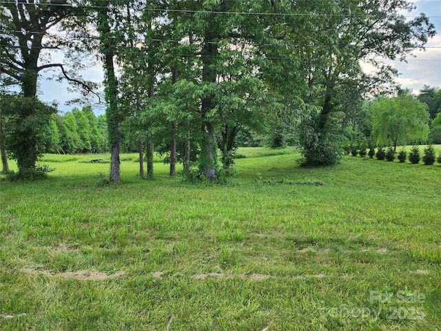 000 W US Highway 421, Wilkesboro, NC 28697 - photo 4