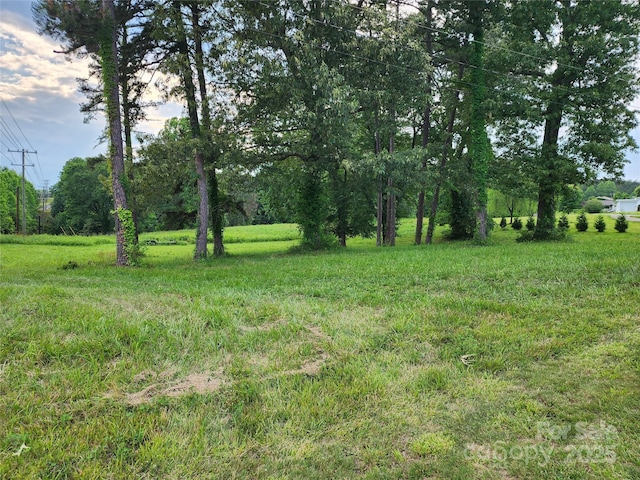 000 W US Highway 421, Wilkesboro, NC 28697 - photo 5