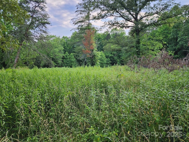 000 W US Highway 421, Wilkesboro, NC 28697 - photo 10