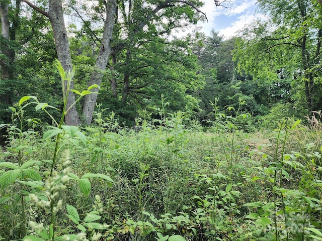 000 W US Highway 421, Wilkesboro, NC 28697 - photo 11
