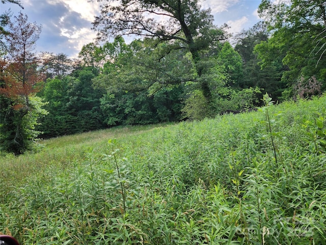 000 W US Highway 421, Wilkesboro, NC 28697 - photo 13