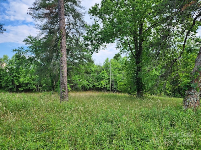 000 W US Highway 421, Wilkesboro, NC 28697 - photo 14