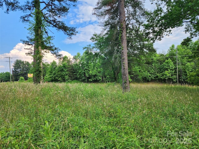 000 W US Highway 421, Wilkesboro, NC 28697 - photo 15