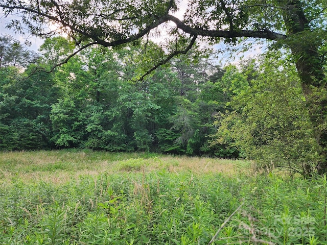 000 W US Highway 421, Wilkesboro, NC 28697 - photo 16
