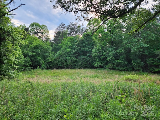 000 W US Highway 421, Wilkesboro, NC 28697 - photo 17