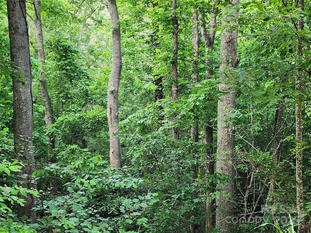 000 W US Highway 421, Wilkesboro, NC 28697 - photo 20