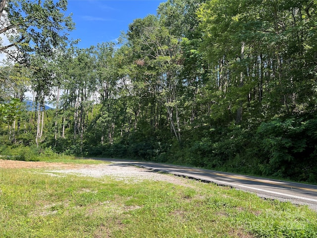 100 Mountain Field Ln, Burnsville, NC 28714 - photo 2