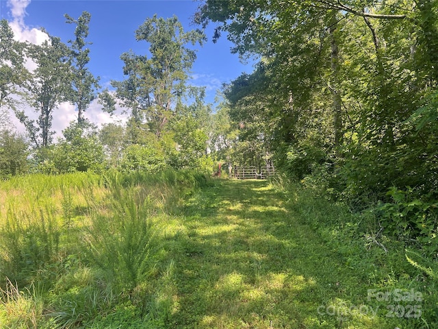 100 Mountain Field Ln, Burnsville, NC 28714 - photo 4