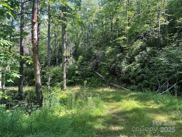 100 Mountain Field Ln, Burnsville, NC 28714 - photo 12
