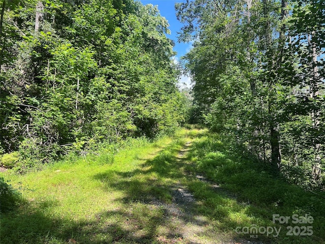 100 Mountain Field Ln, Burnsville, NC 28714 - photo 13