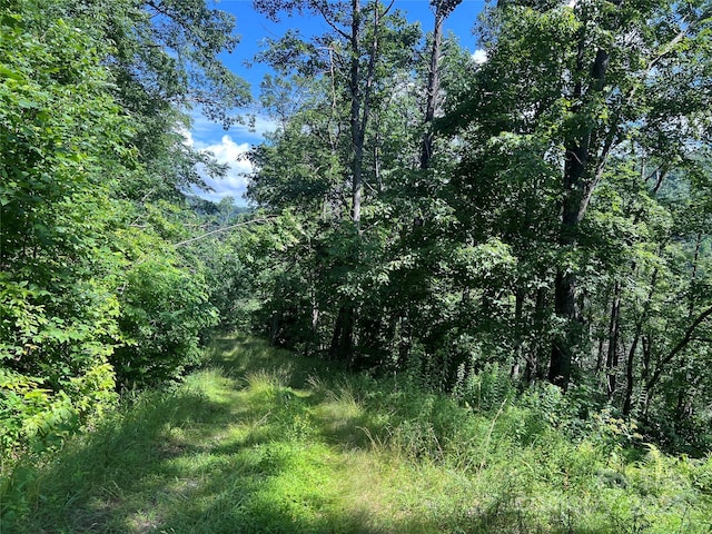 100 Mountain Field Ln, Burnsville, NC 28714 - photo 15