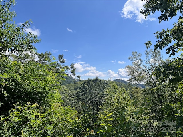 100 Mountain Field Ln, Burnsville, NC 28714 - photo 16