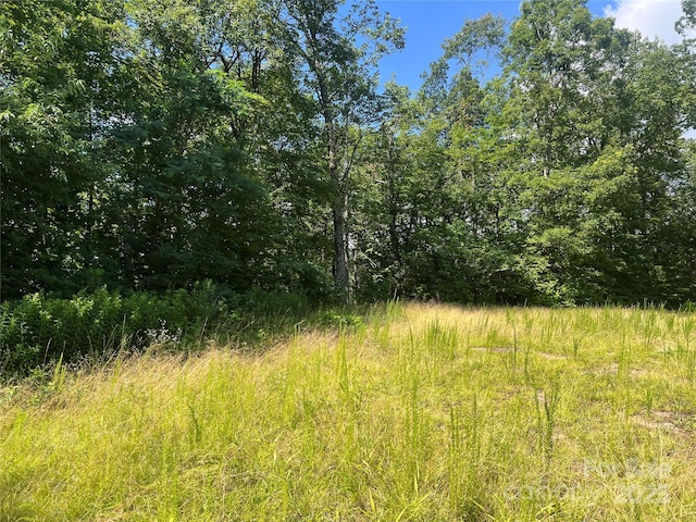 100 Mountain Field Ln, Burnsville, NC 28714 - photo 24
