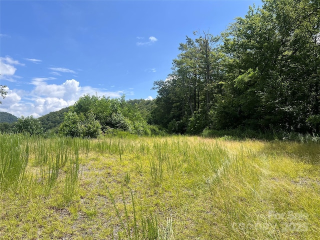 100 Mountain Field Ln, Burnsville, NC 28714 - photo 25