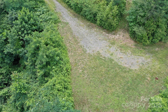 100 Mountain Field Ln, Burnsville, NC 28714 - photo 29