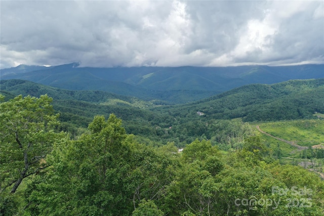100 Mountain Field Ln, Burnsville, NC 28714 - photo 30