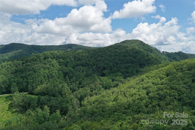 100 Mountain Field Ln, Burnsville, NC 28714 - photo 31