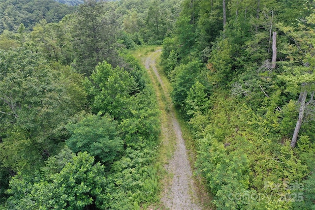 100 Mountain Field Ln, Burnsville, NC 28714 - photo 32