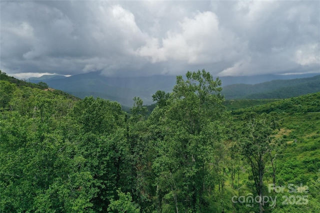 100 Mountain Field Ln, Burnsville, NC 28714 - photo 33