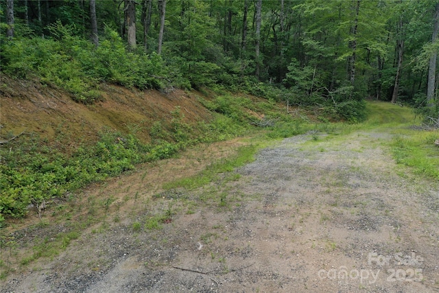 100 Mountain Field Ln, Burnsville, NC 28714 - photo 35