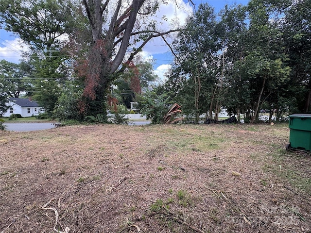 100 S Gardner Ave, Charlotte, NC 28208 - photo 4
