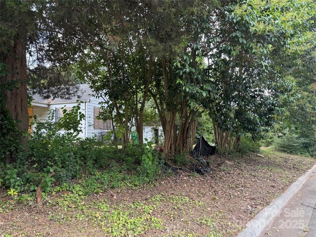 100 S Gardner Ave, Charlotte, NC 28208 - photo 15