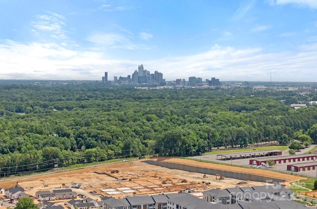 2426 Arbor Loop Dr, Charlotte, NC 28217 - photo 23