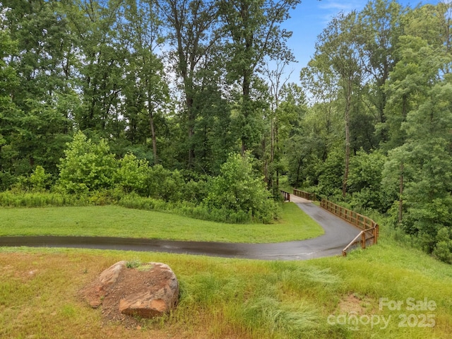 13520 Huntson Park Ln, Huntersville, NC 28078 - photo 47