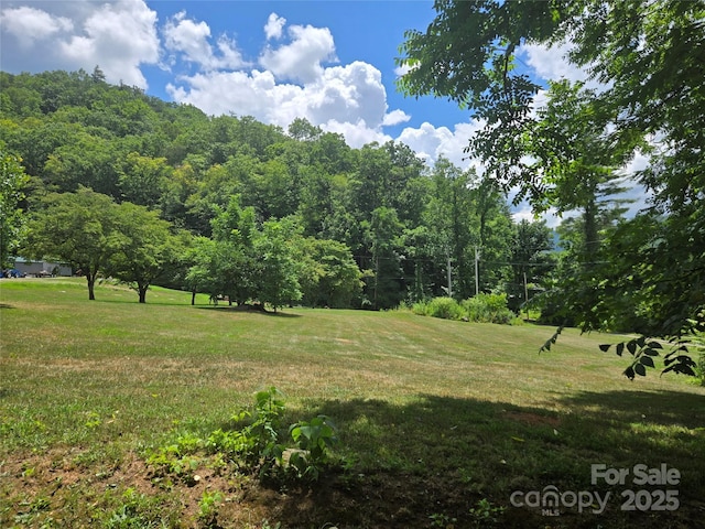 2A Staghorn Ln Unit 2A, Cullowhee, NC 28723 - photo 1