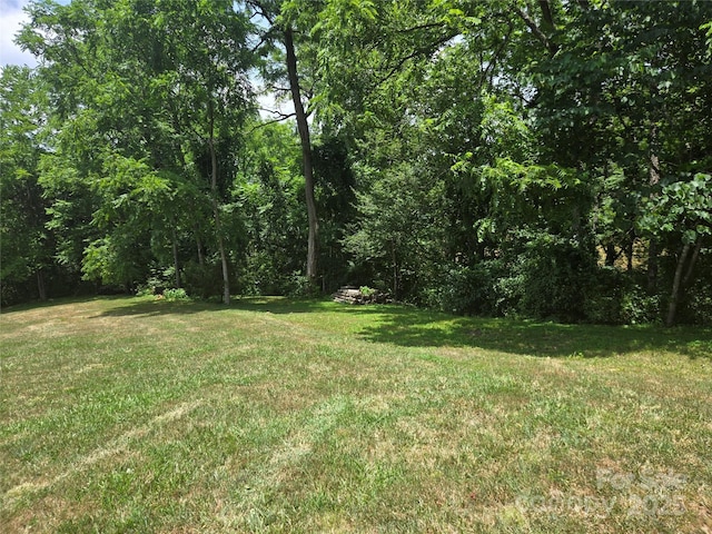 2A Staghorn Ln Unit 2A, Cullowhee, NC 28723 - photo 3