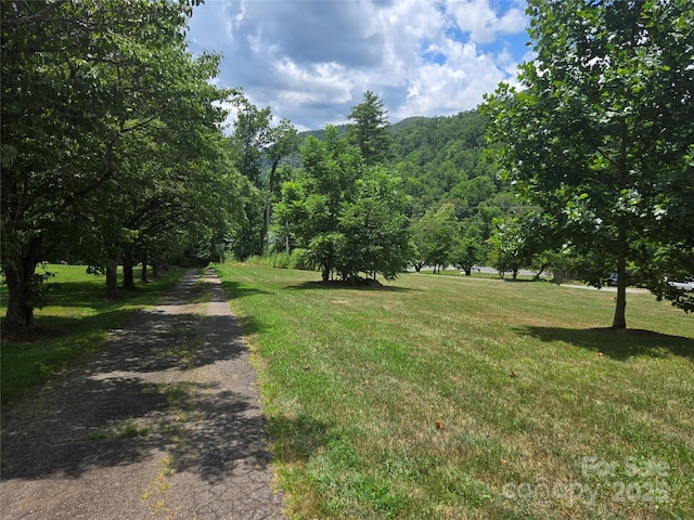 2A Staghorn Ln Unit 2A, Cullowhee, NC 28723 - photo 6