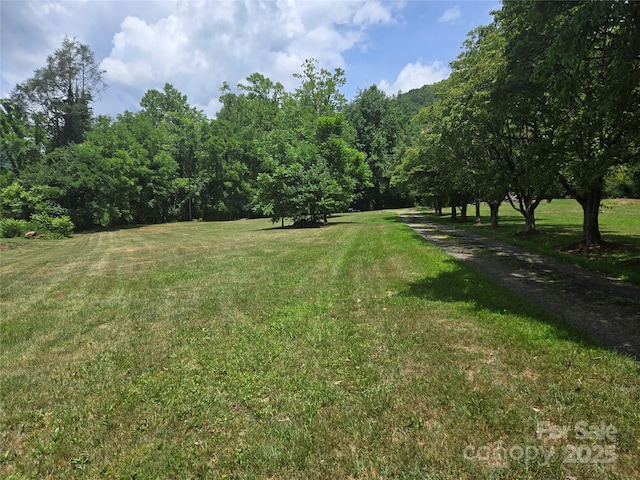 2A Staghorn Ln Unit 2A, Cullowhee, NC 28723 - photo 8