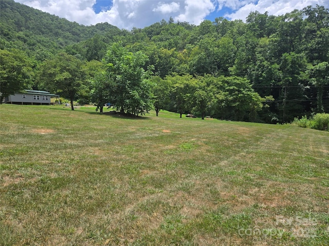 2A Staghorn Ln Unit 2A, Cullowhee, NC 28723 - photo 10