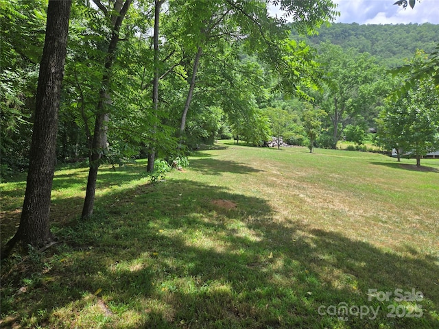 2A Staghorn Ln Unit 2A, Cullowhee, NC 28723 - photo 12
