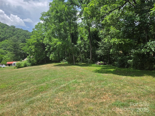 2A Staghorn Ln Unit 2A, Cullowhee, NC 28723 - photo 13