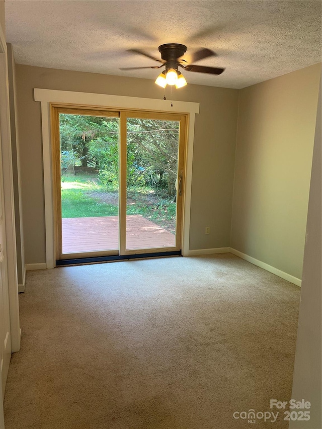 39 Vine St, Woodfin, NC 28804 - photo 8
