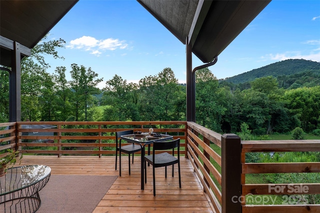 962 Riceville Rd, Asheville, NC 28805 - photo 12