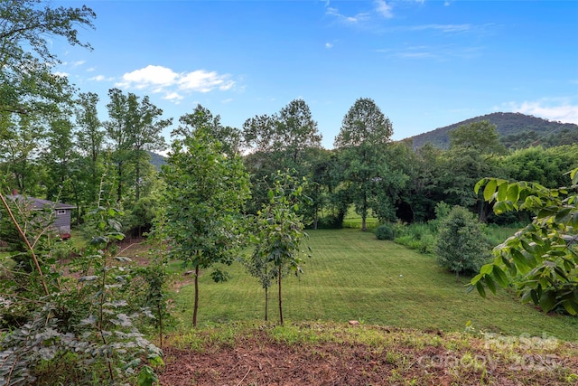 962 Riceville Rd, Asheville, NC 28805 - photo 15