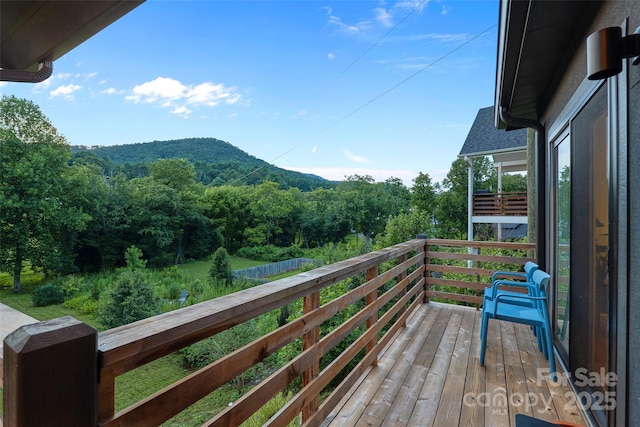 962 Riceville Rd, Asheville, NC 28805 - photo 20