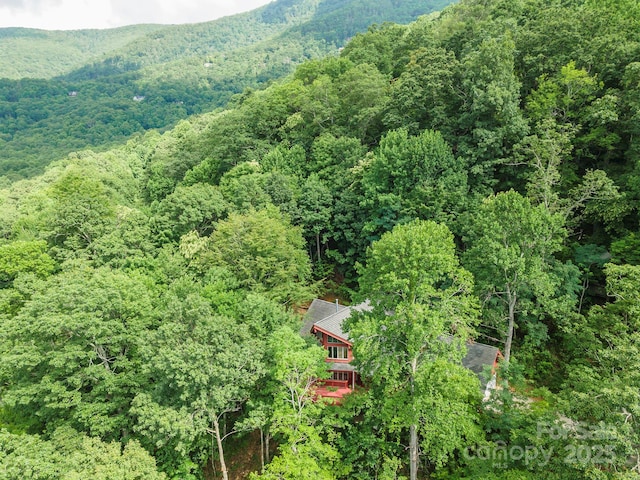 7 Winding Poplar Rd, Black Mountain, NC 28711 - photo 7