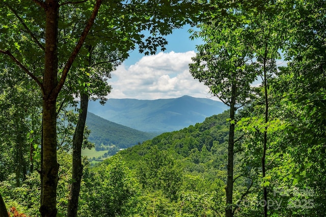 7 Winding Poplar Rd, Black Mountain, NC 28711 - photo 4