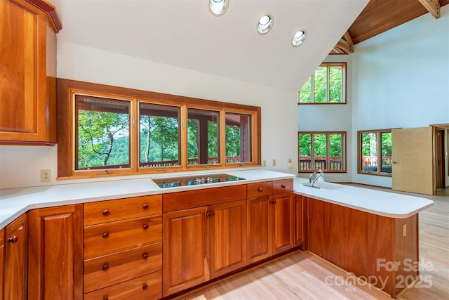 7 Winding Poplar Rd, Black Mountain, NC 28711 - photo 16