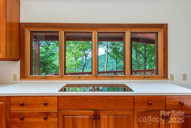 7 Winding Poplar Rd, Black Mountain, NC 28711 - photo 17