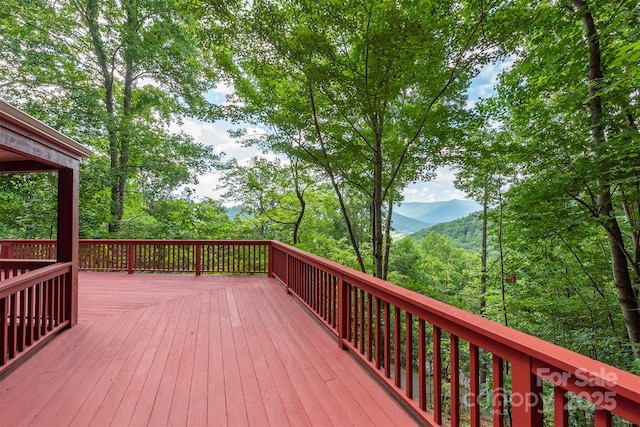 7 Winding Poplar Rd, Black Mountain, NC 28711 - photo 48