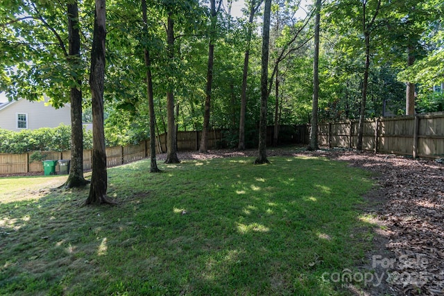 6207 Glencairn Ct, Charlotte, NC 28269 - photo 32